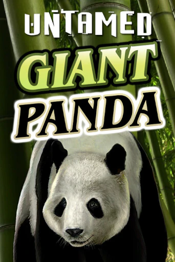 Играть в слот Untamed - Giant Panda бесплатно онлайн | Azino Mobile